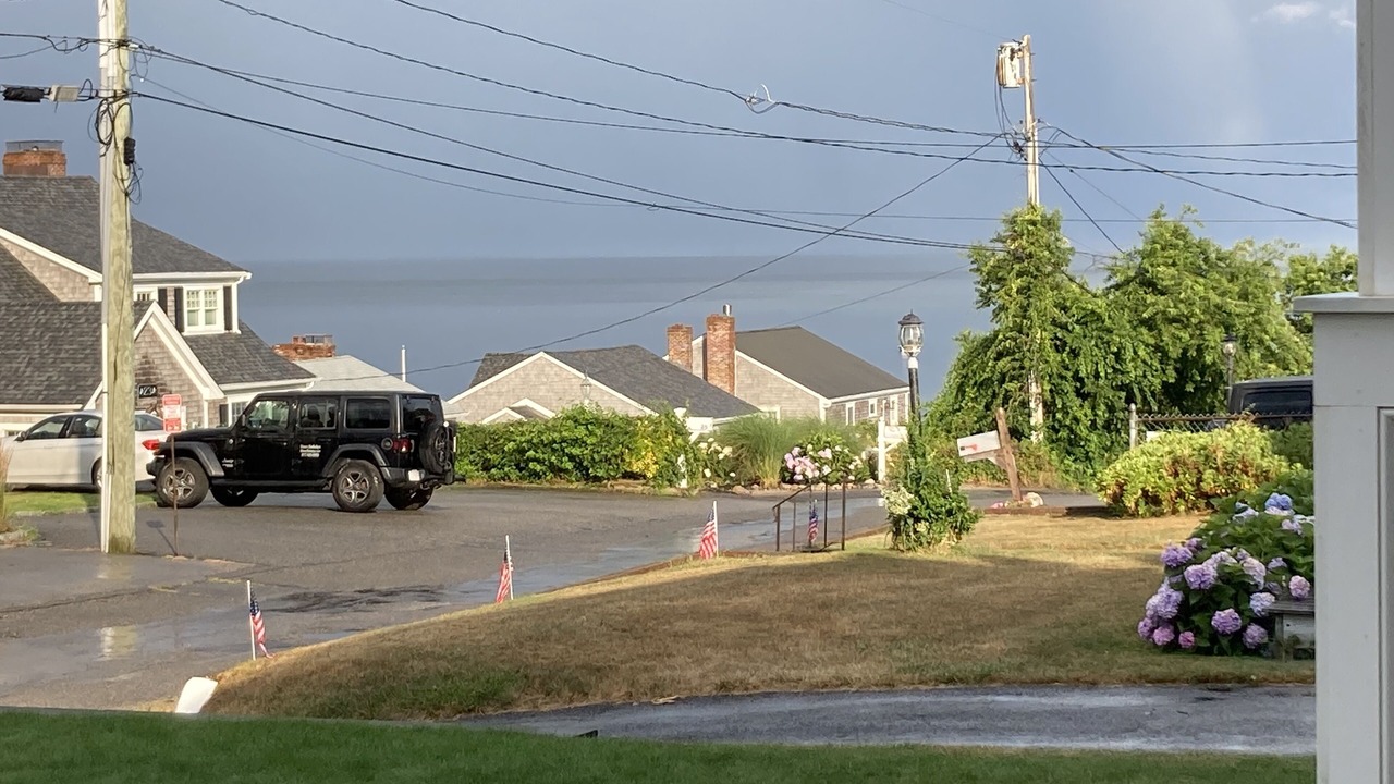Photo of Outdoor in Cedar Bushes