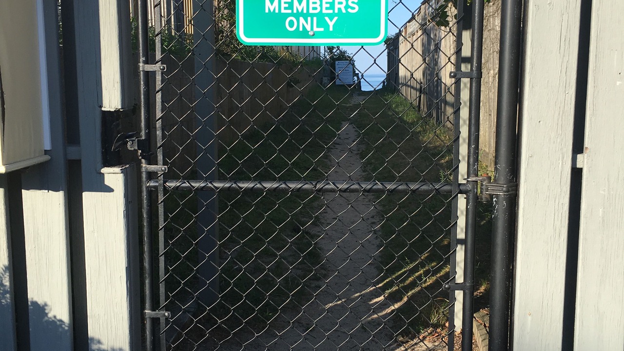 Photo of Outdoor in Cedar Bushes