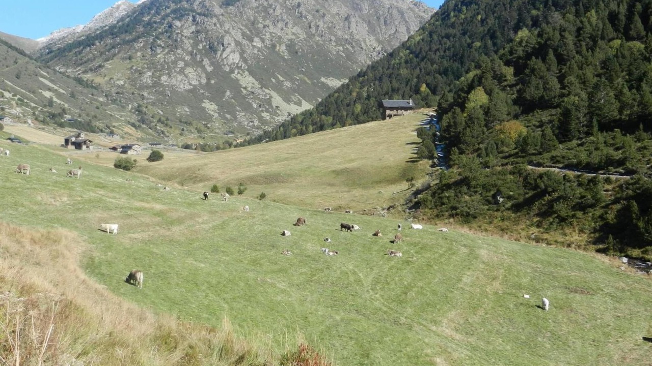 Photo of Others in Bordes d'Envalira