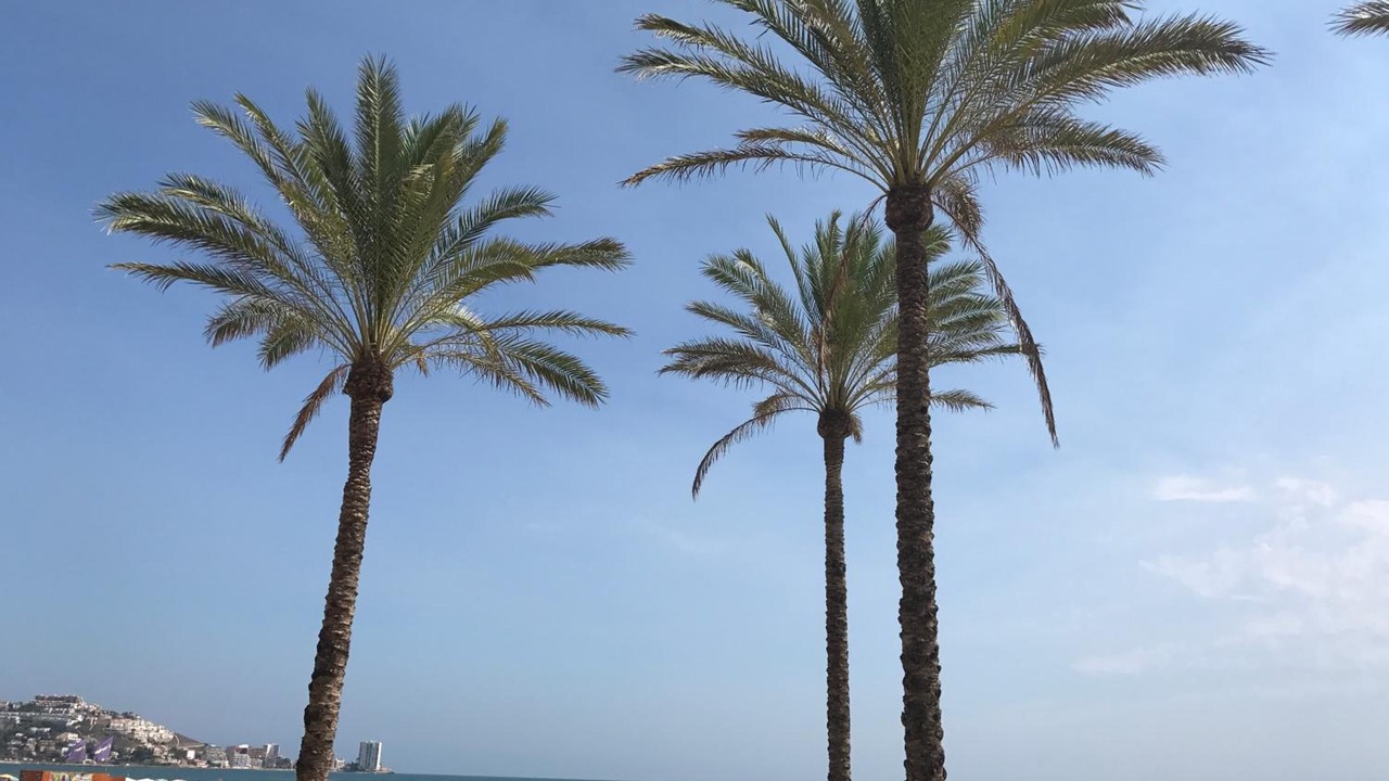 Photo of Others in Cullera