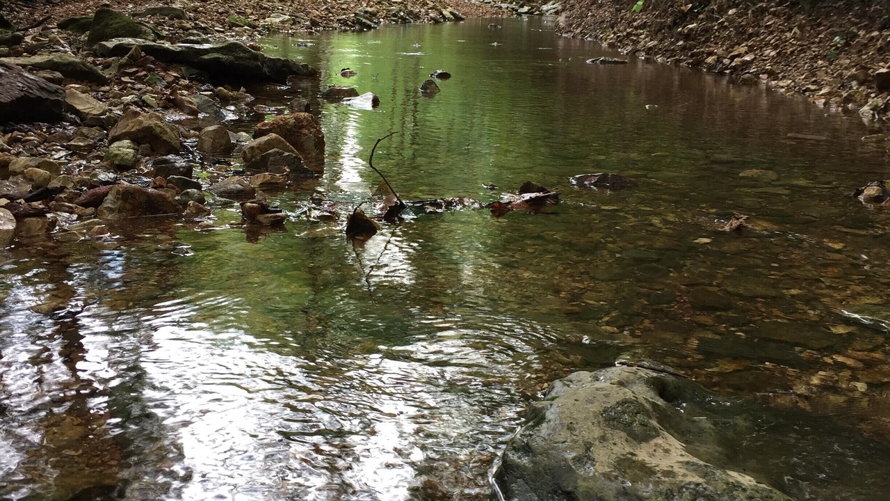 Photo of Outdoor in Garfield