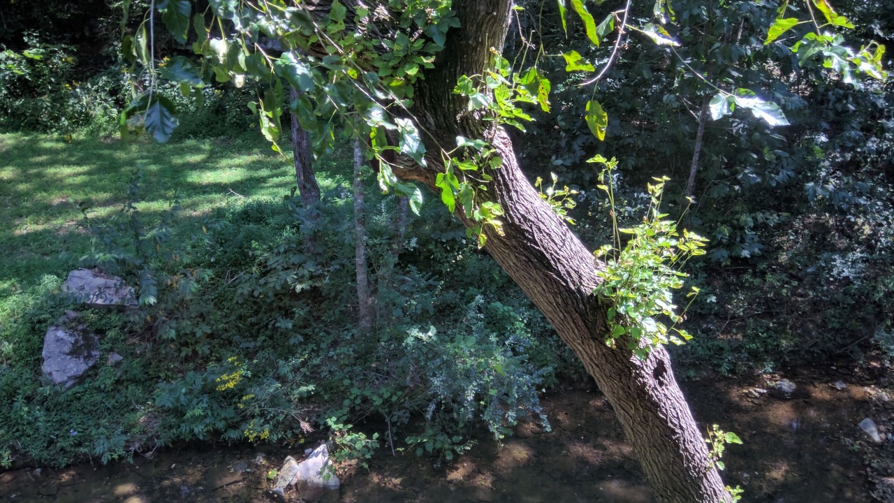 Photo of Outdoor in Garfield