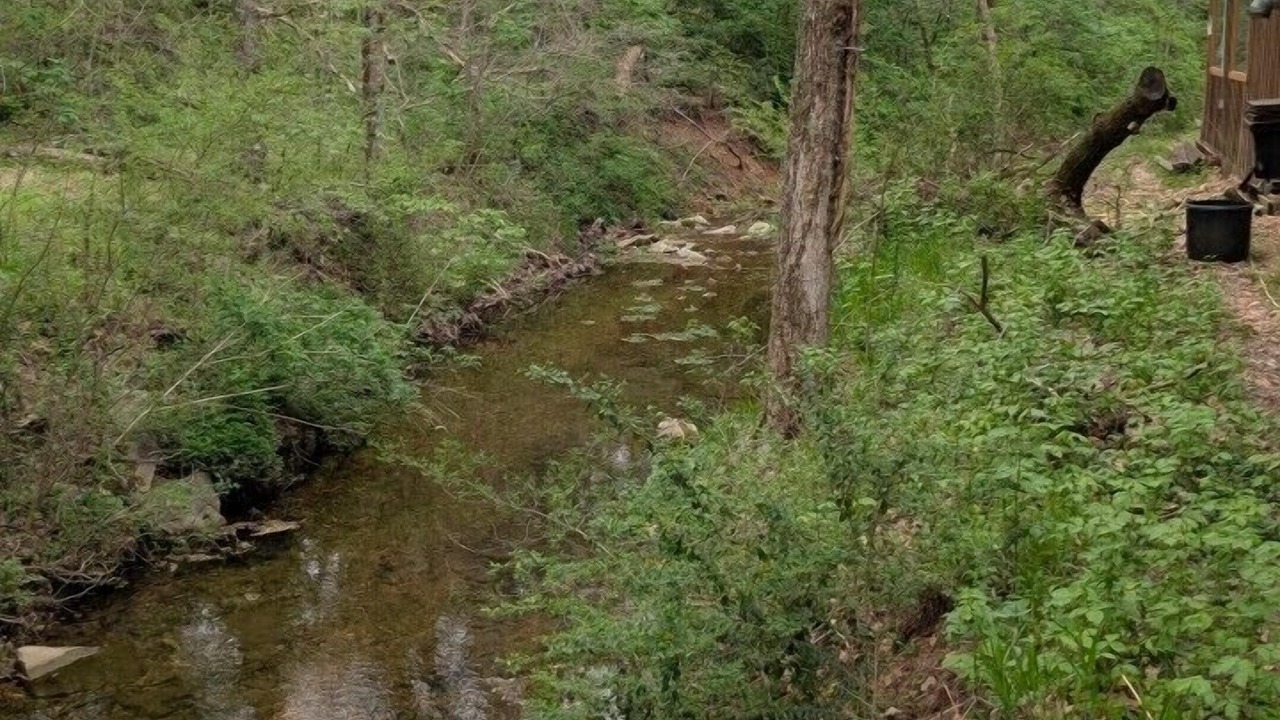 Photo of Outdoor in Garfield