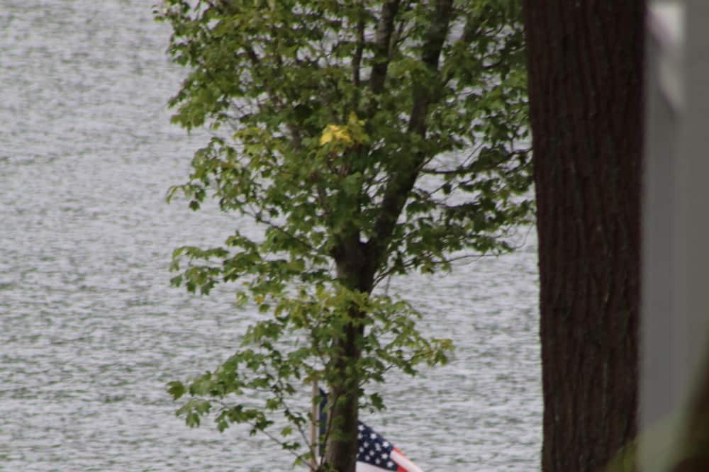 Photo of Others in Alton Bay