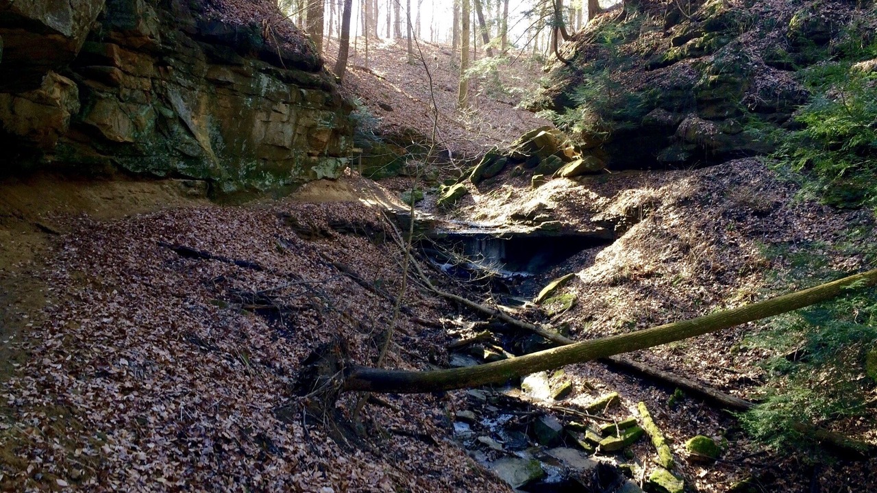 Photo of Outdoor in Waveland