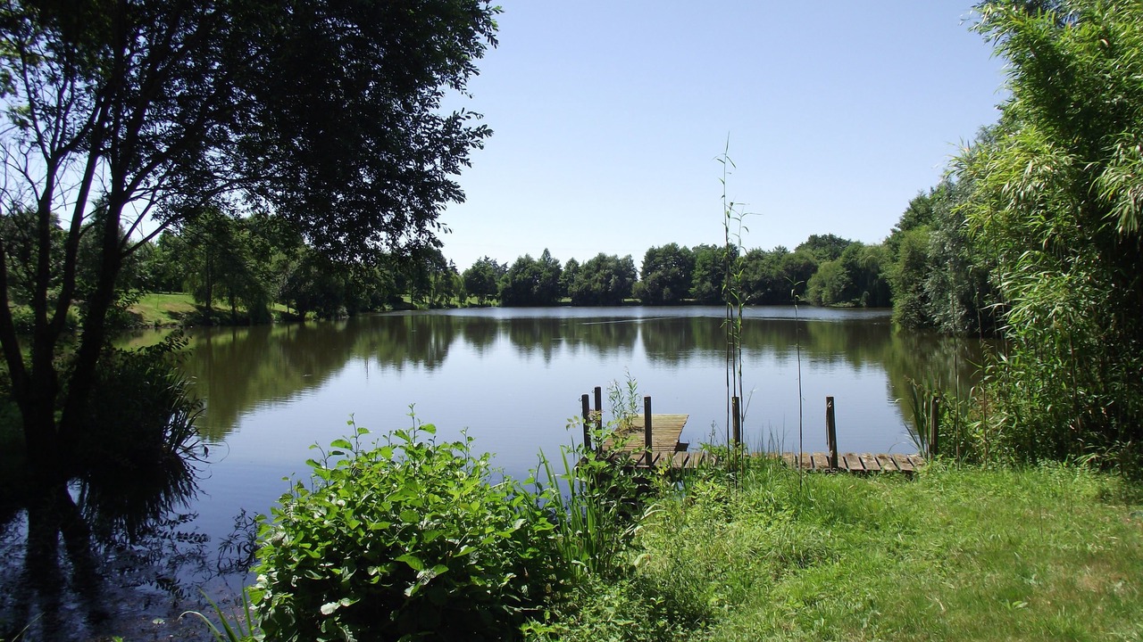 Photo of Others in Saint-Germain-sur-Moine