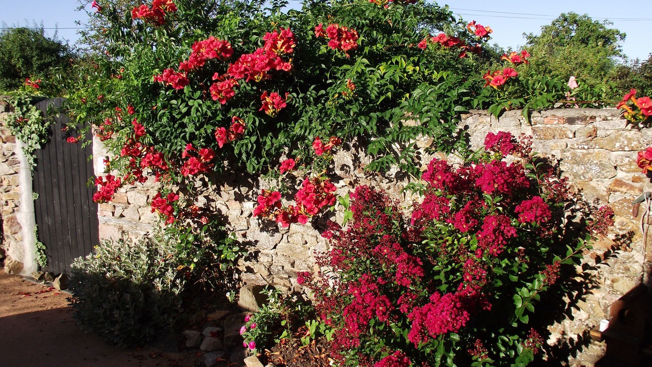 Photo of Outdoor in Saint-Germain-sur-Moine