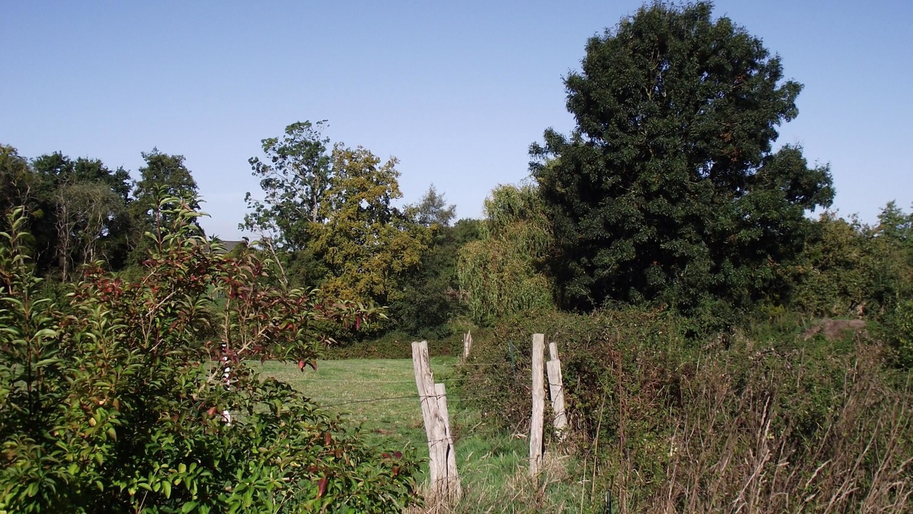 Photo of Outdoor in Saint-Germain-sur-Moine