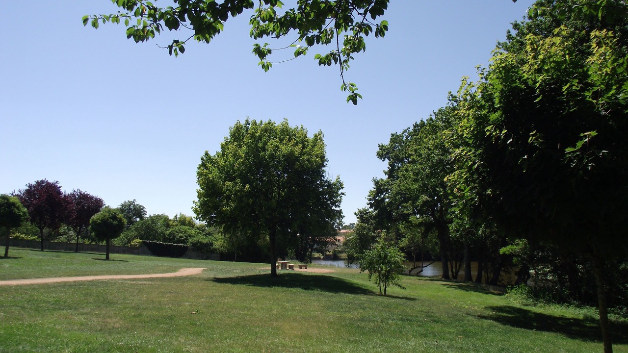 Photo of Others in Saint-Germain-sur-Moine