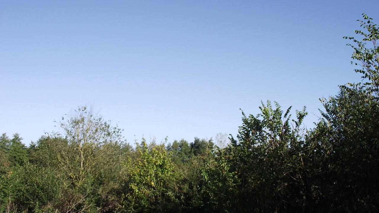 Photo of Others in Saint-Germain-sur-Moine