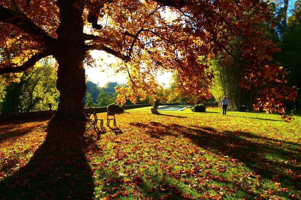 Photo of Outdoor in Mouleydier