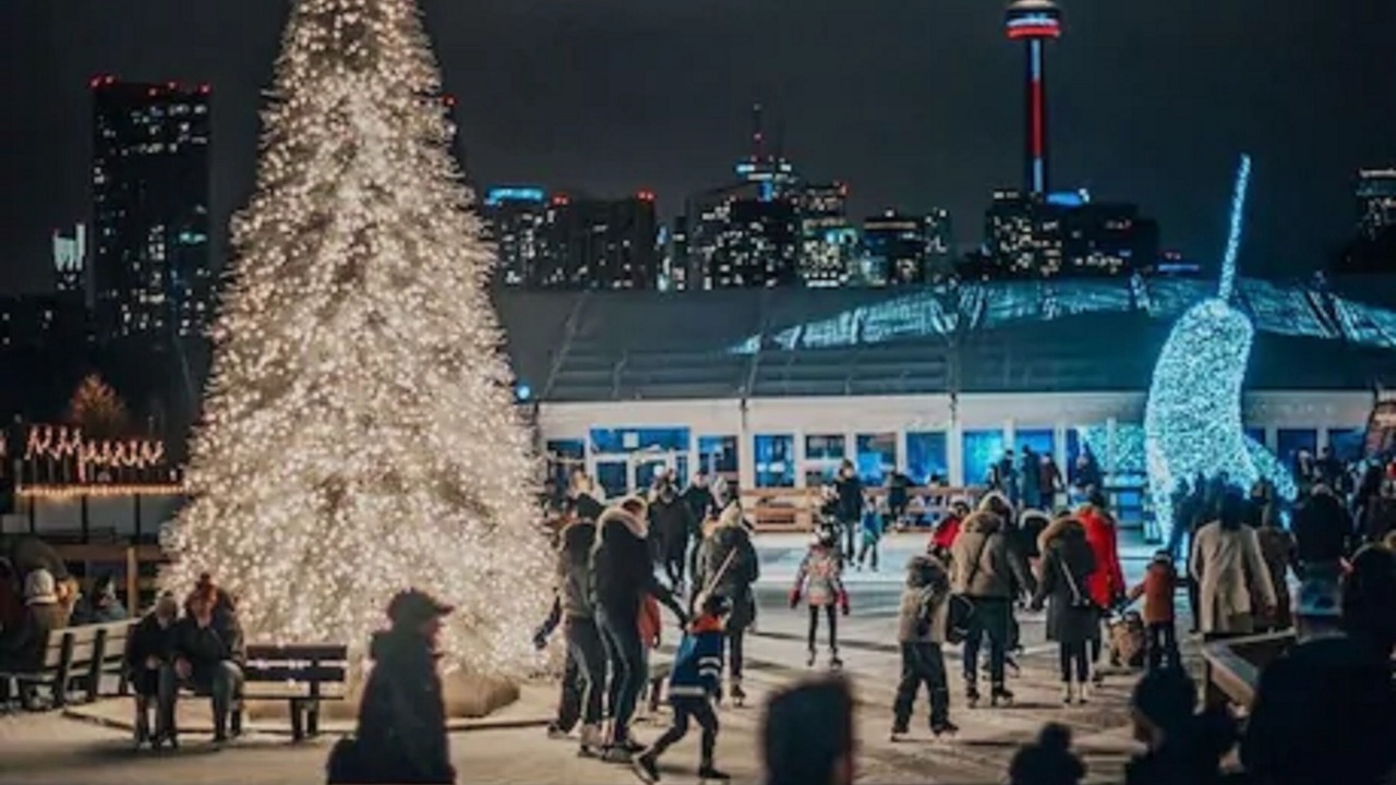 Photo of Others in Niagara
