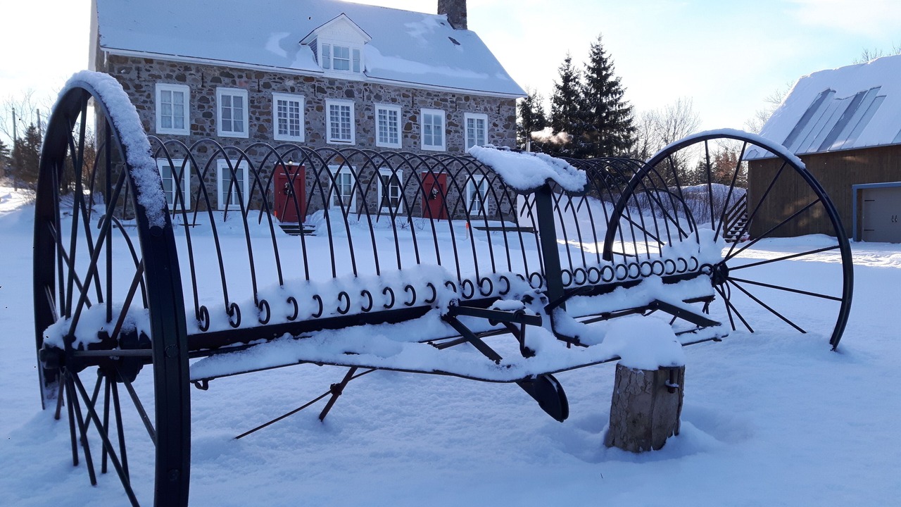 Photo of Others in Saint-Roch-des-Aulnaies