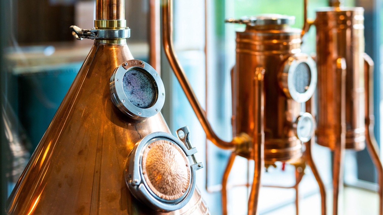 Photo of Others in Fence