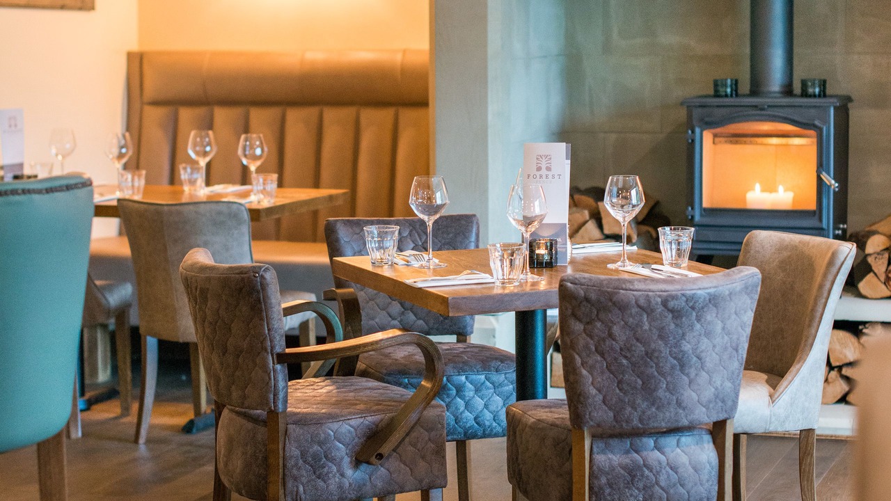 Photo of Others in Fence