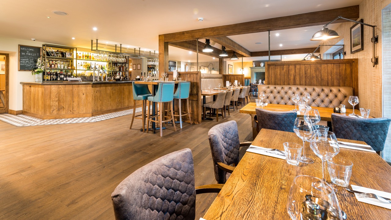 Photo of Others in Fence