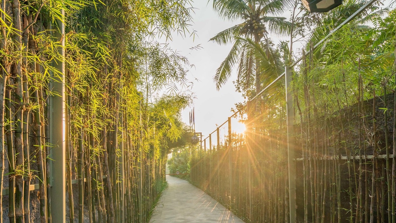 Photo of Outdoor in Singakerta