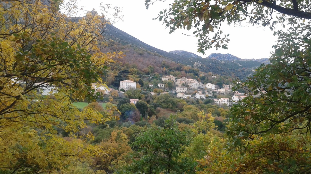 Photo of Outdoor in Feliceto