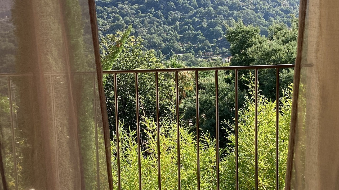 Photo of Outdoor in Feliceto