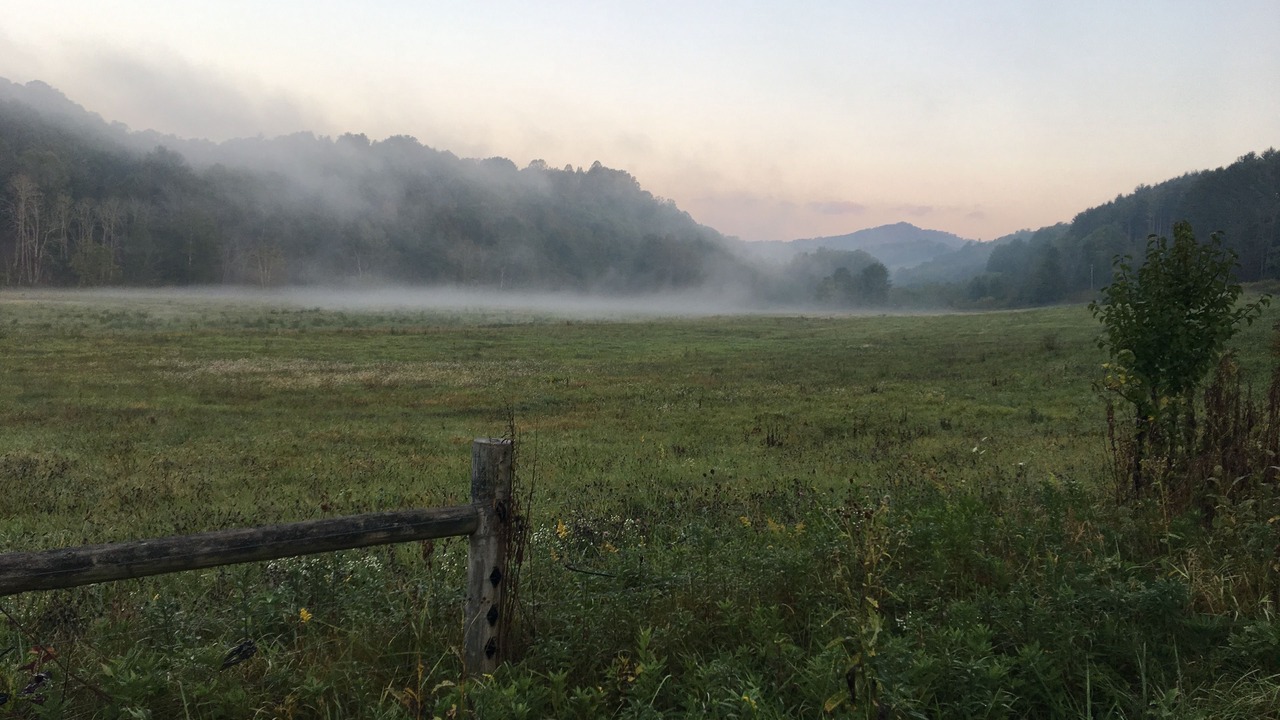 Photo of Others in Grassy Creek