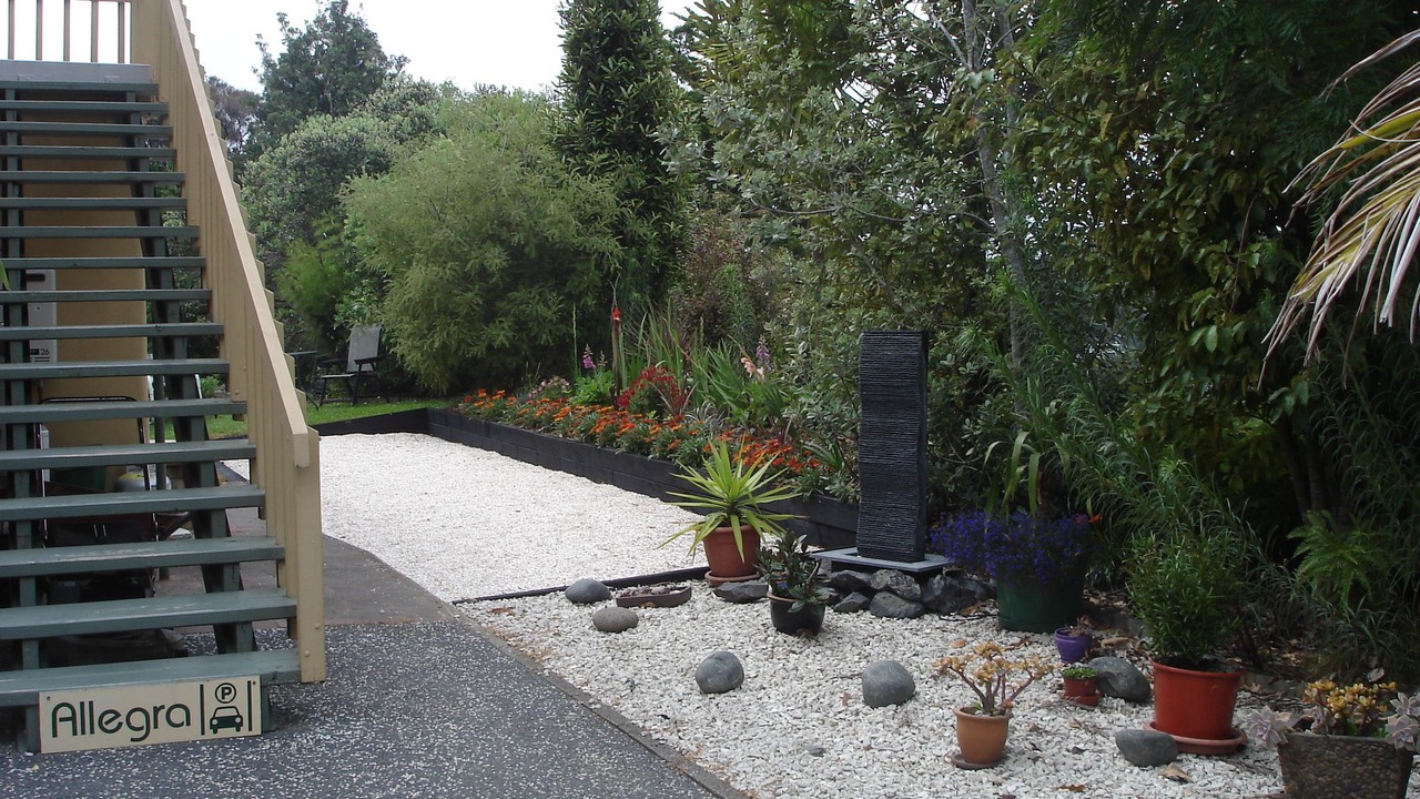 Photo of Outdoor in Paihia