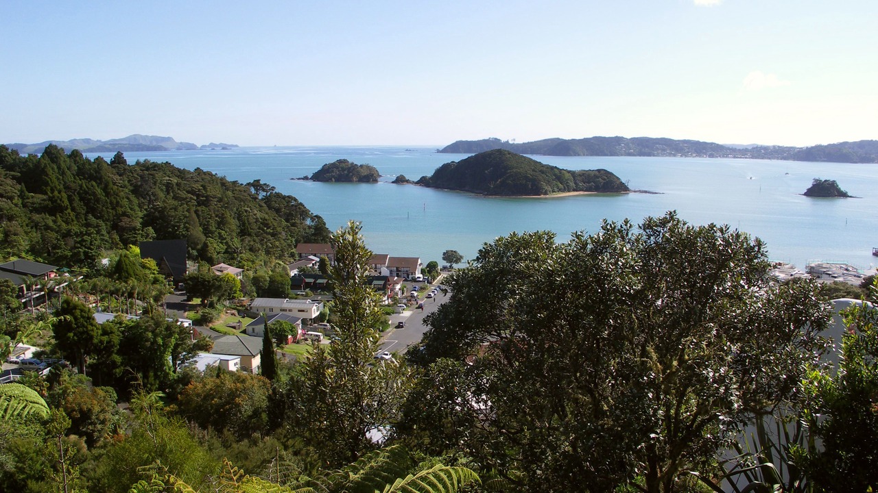 Photo of Others in Paihia