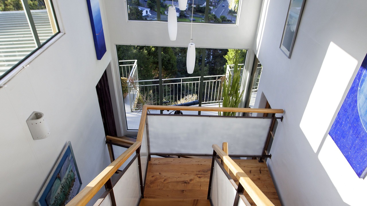 Photo of Others in Paihia