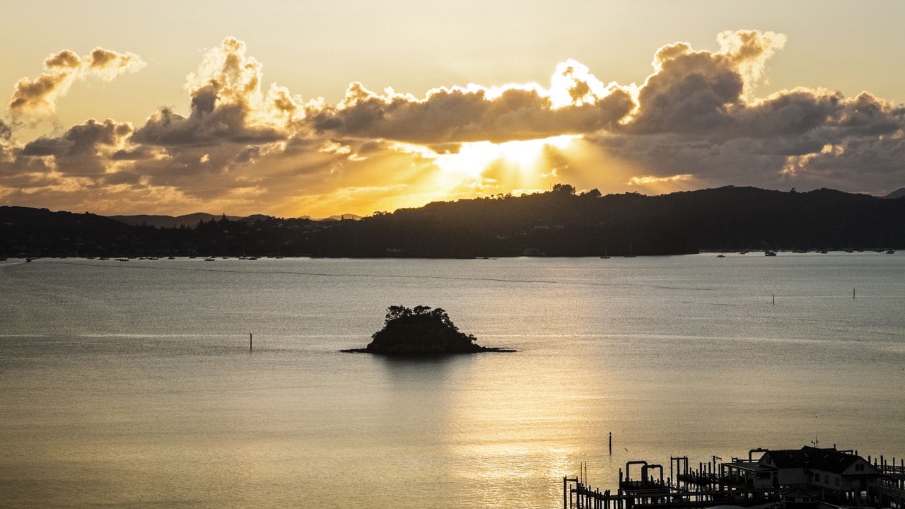 Photo of Others in Paihia