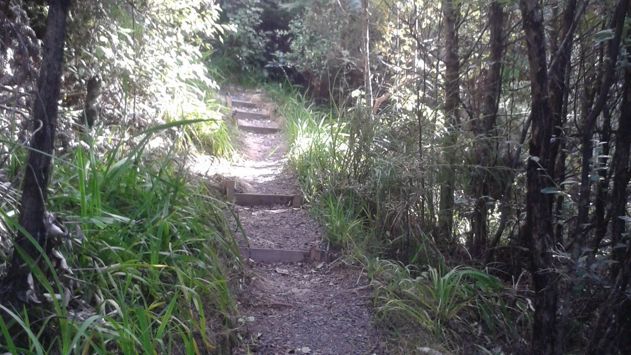 Photo of Outdoor in Paihia