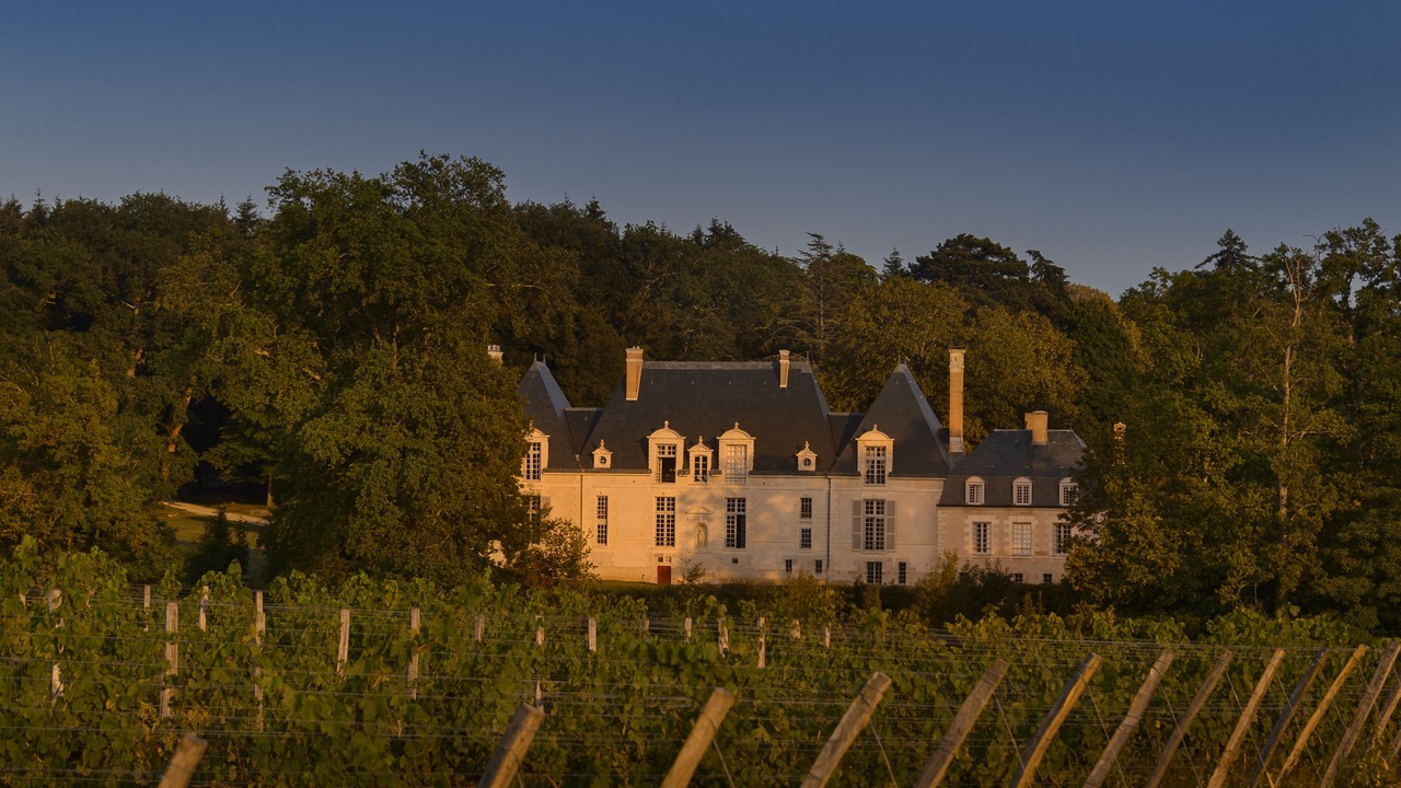 Photo of Outdoor in Huisseau-sur-Cosson