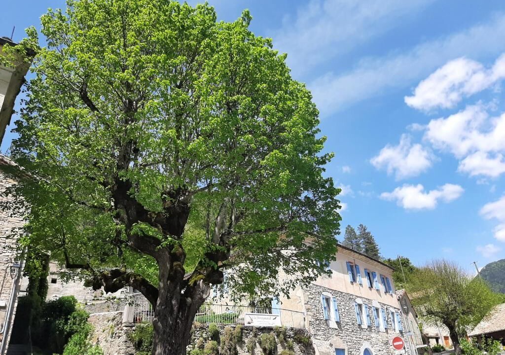 Photo of Outdoor in Menee