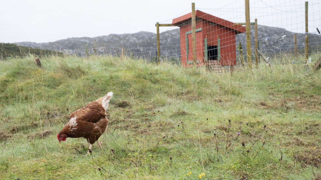 Photo of Others in Achmelvich