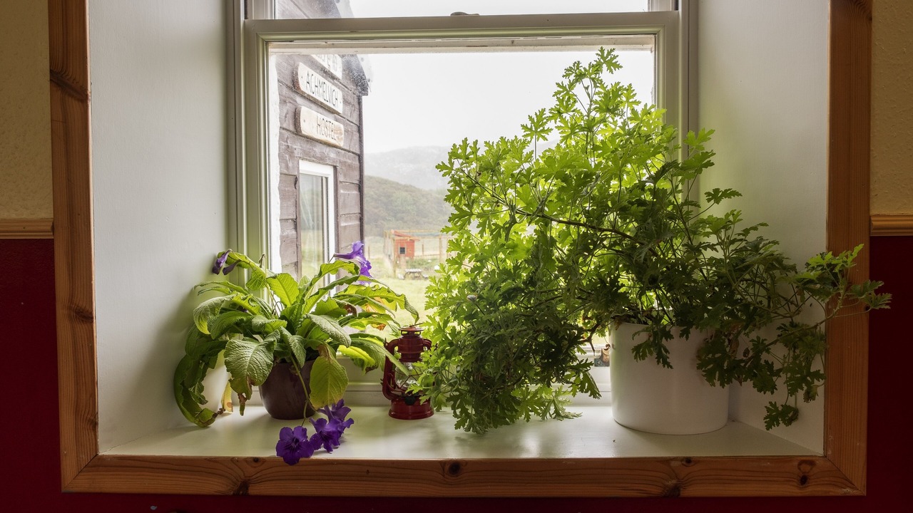 Photo of Others in Achmelvich