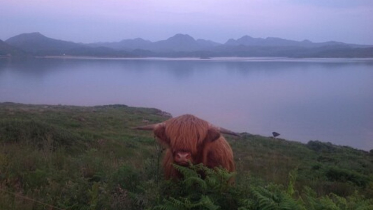 Photo of Others in The Hebrides