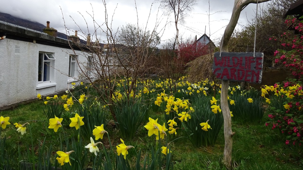 Photo of Outdoor in Ullapool