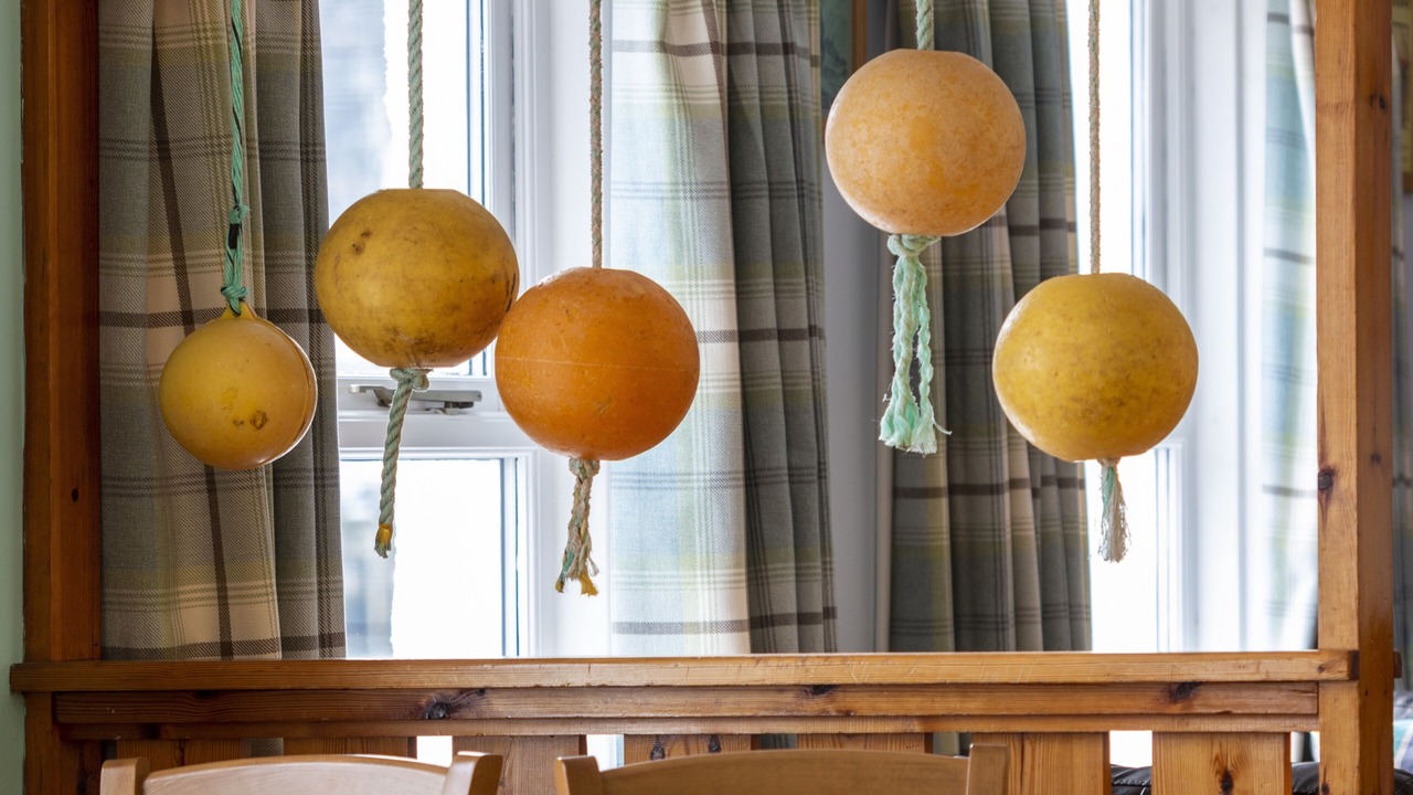 Photo of Others in Ullapool