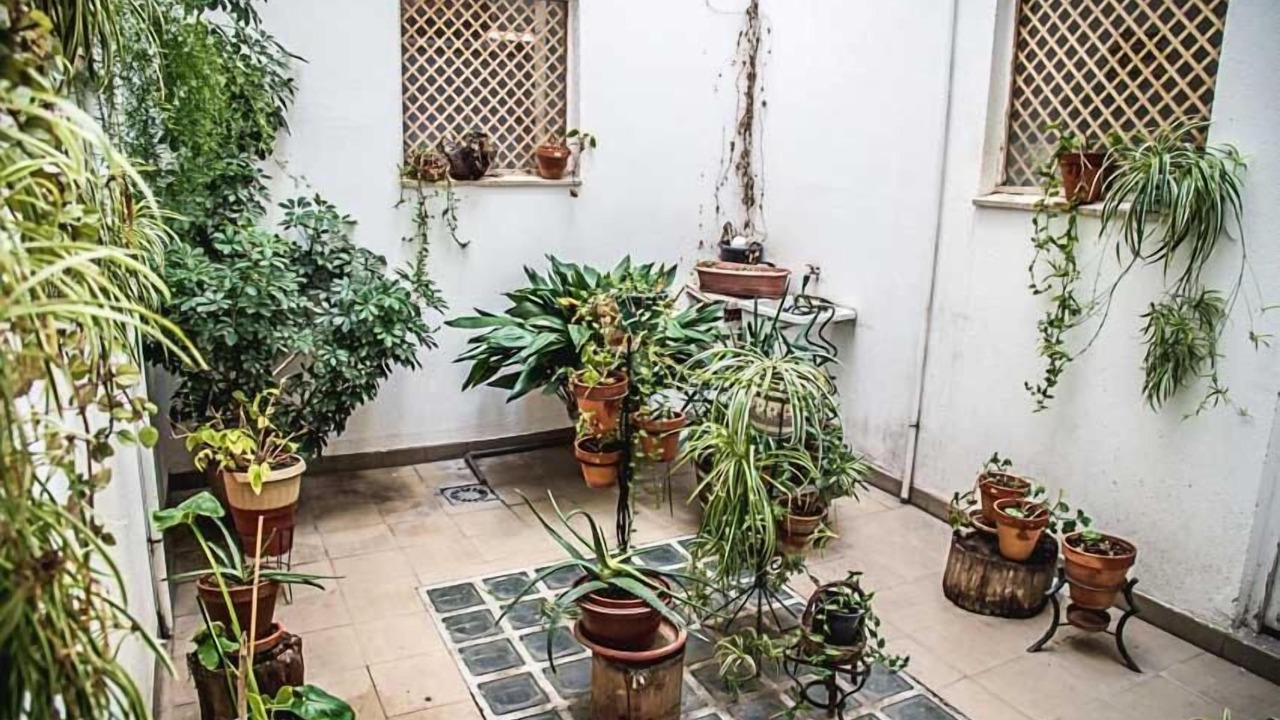 Photo of Patio Balcony in Carbonero el Mayor