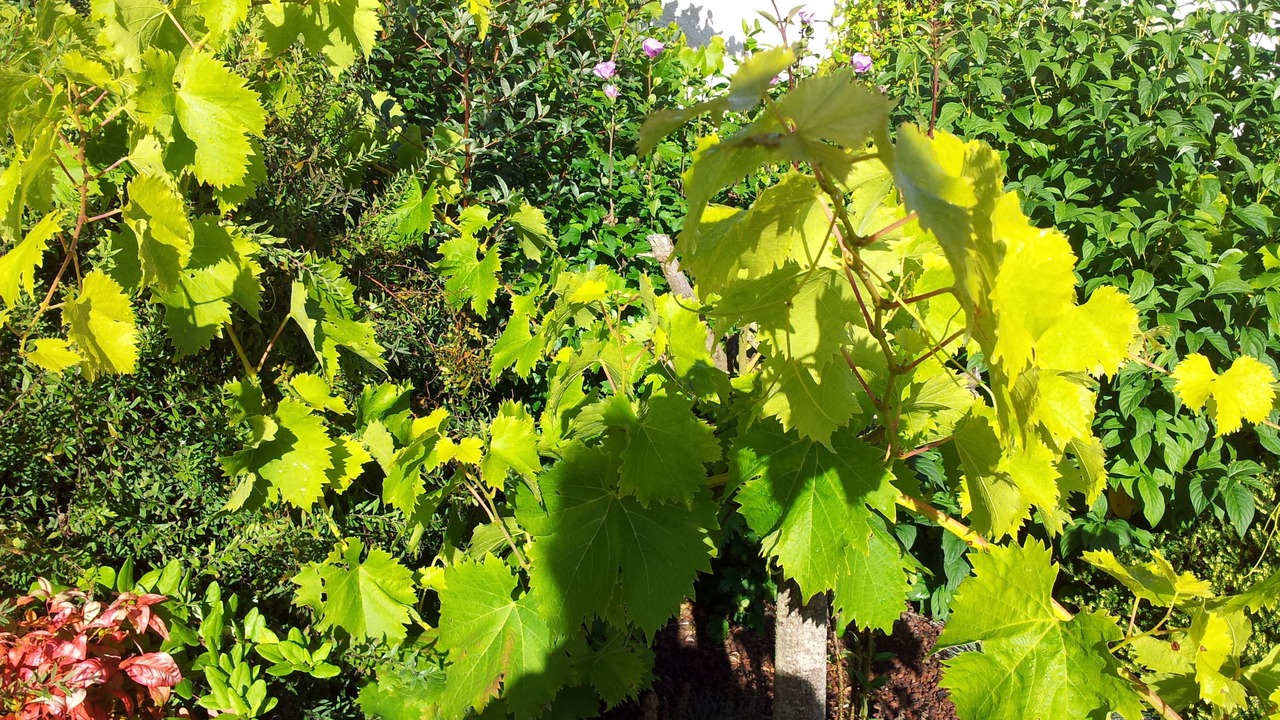 Photo of Others in Guipry-Messac