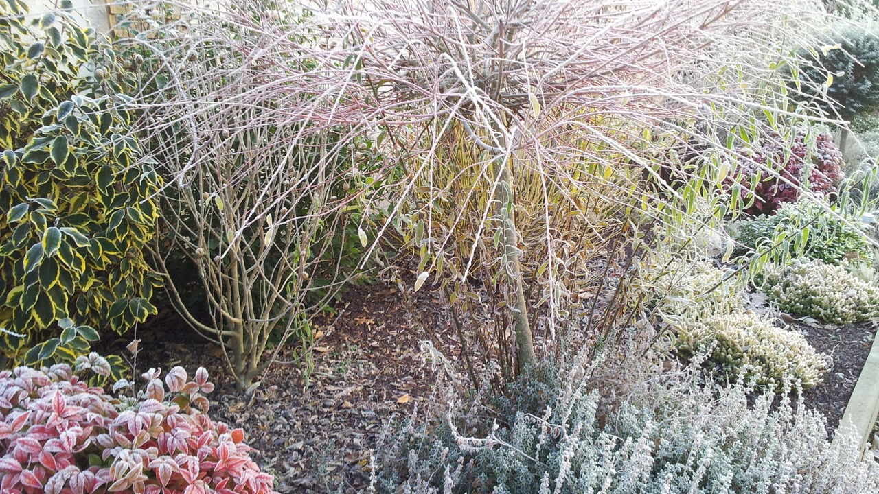 Photo of Others in Guipry-Messac