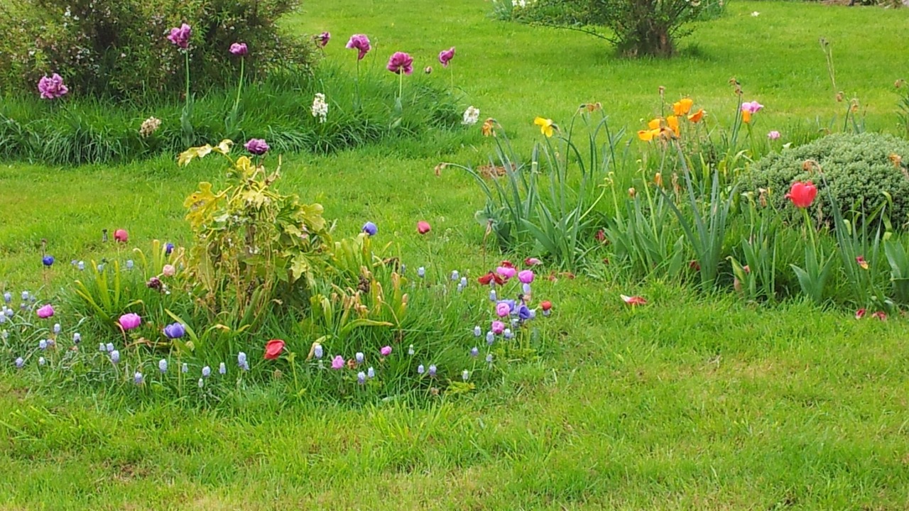 Photo of Outdoor in Guipry-Messac