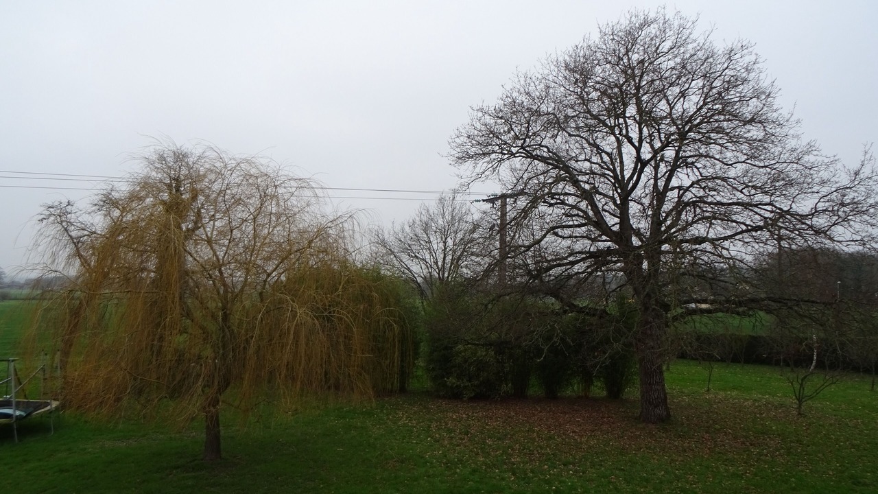 Photo of Outdoor in Guipry-Messac