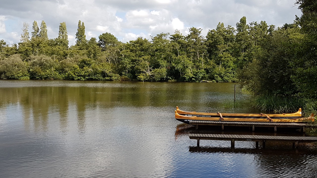 Photo of Others in Gastes