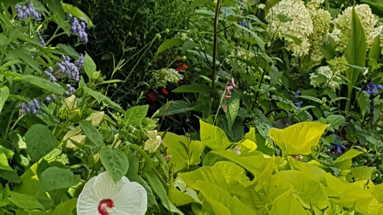 Photo of Others in Gastes