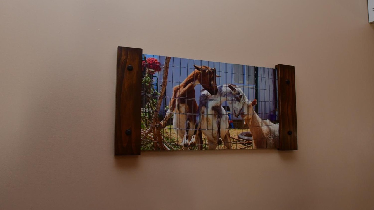 Photo of Others in Eden