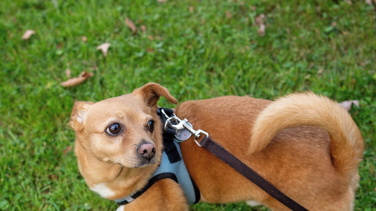 Photo of Others in Shandaken