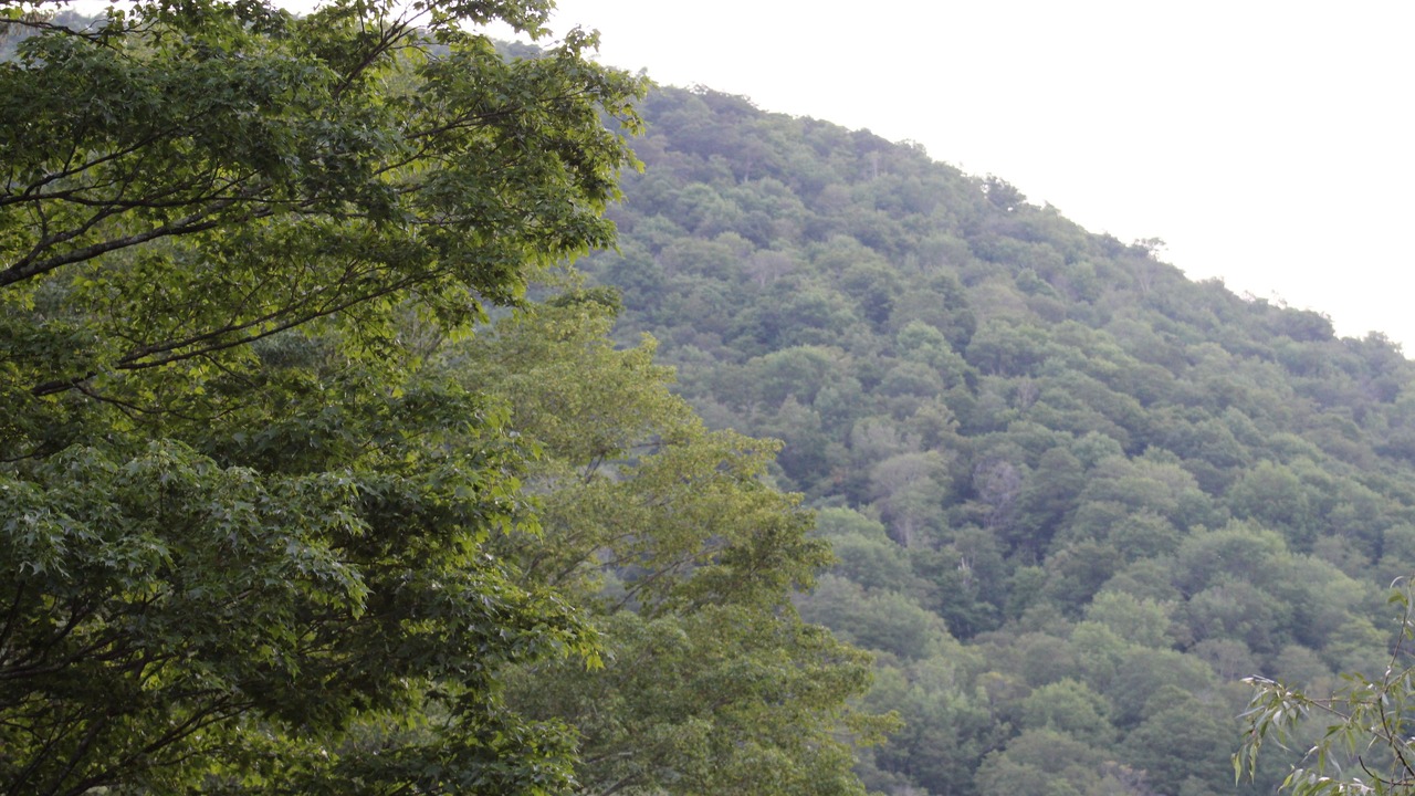 Photo of Outdoor in Shandaken