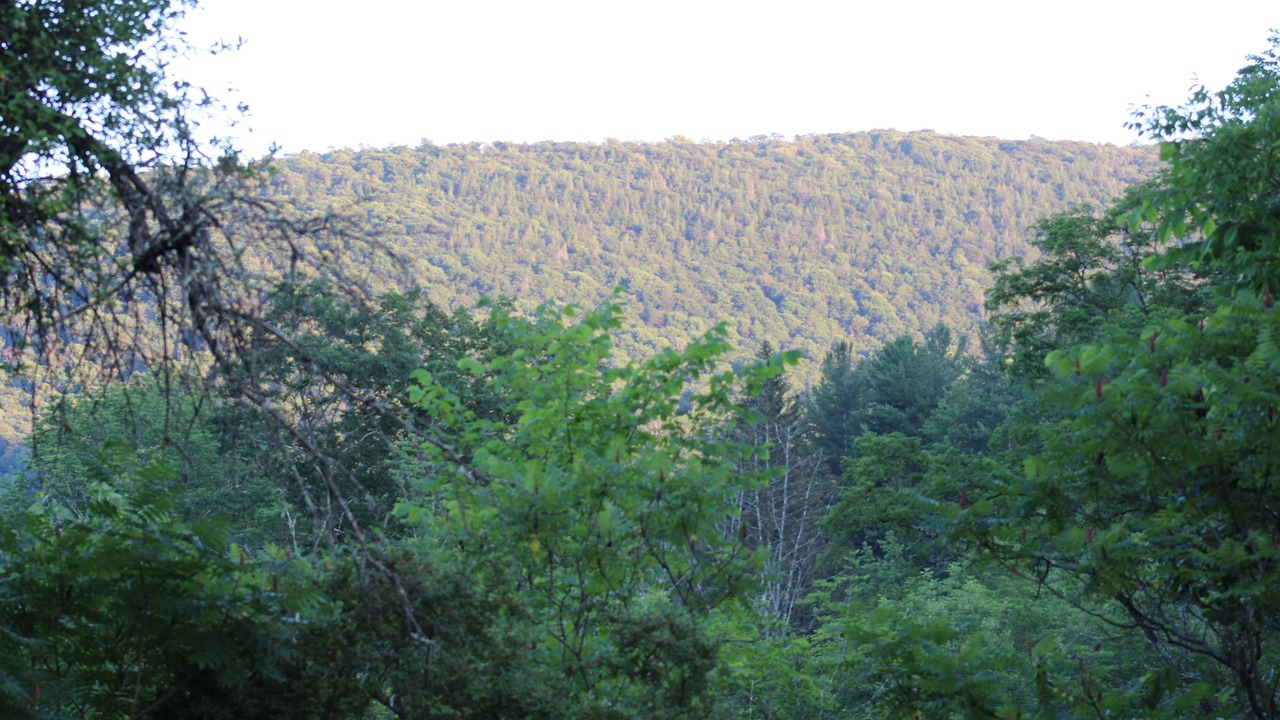 Photo of Others in Shandaken