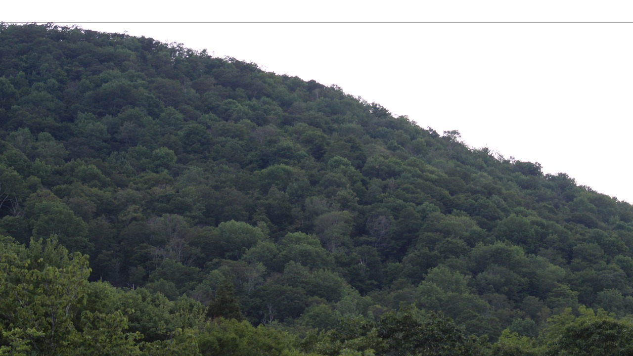 Photo of Others in Shandaken