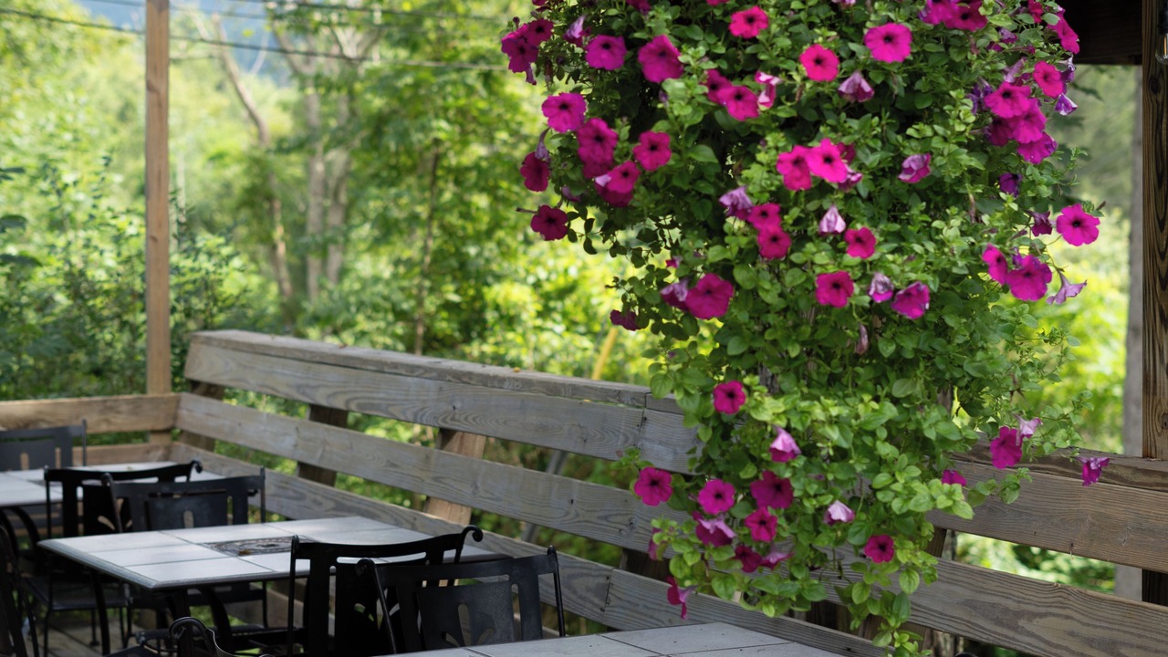 Photo of Others in Shandaken