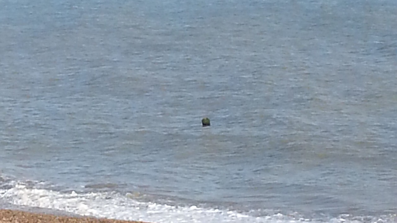 Photo of Others in Dover